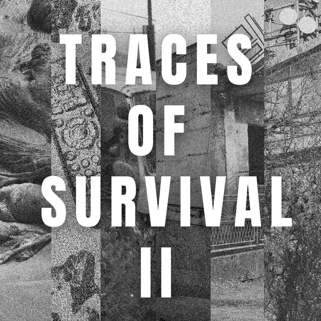 traces_of_survival_II_cover